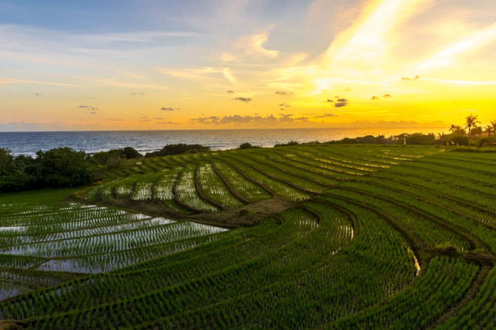 Vila Kembar Cantik dengan Pemandangan Laut Dijual di Tabanan