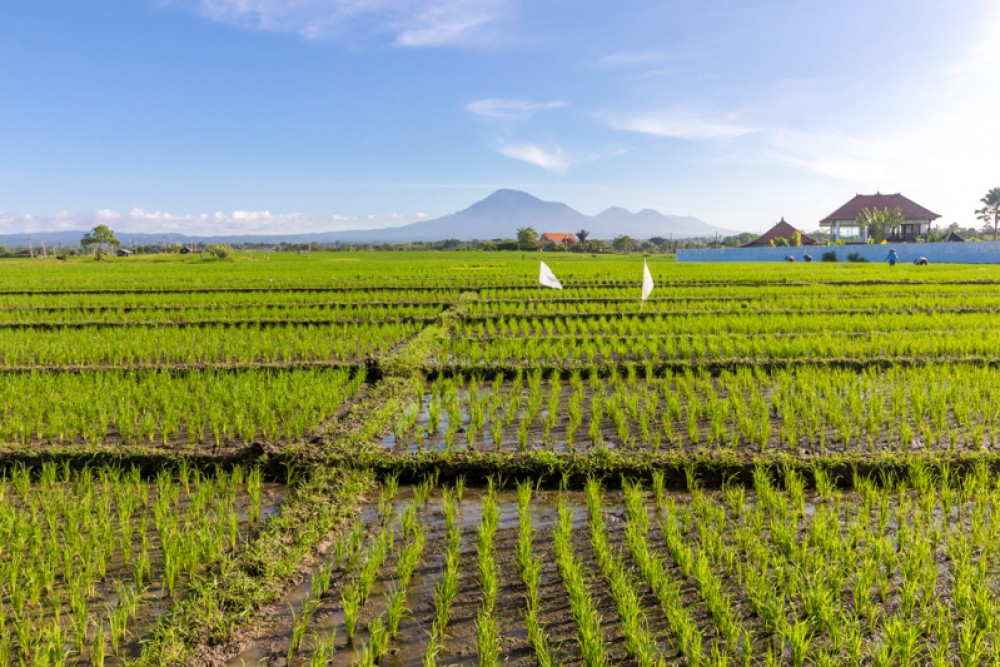 Vila Kembar Cantik dengan Pemandangan Laut Dijual di Tabanan