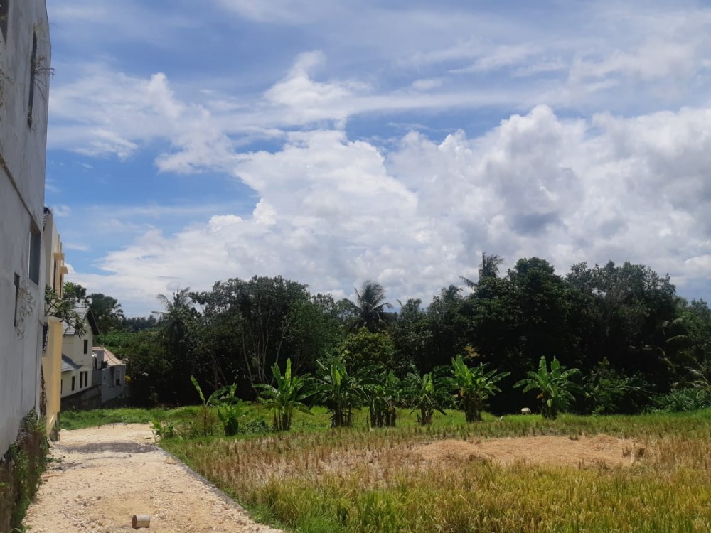 Plot Spesial dengan Pemandangan Sungai dan Green