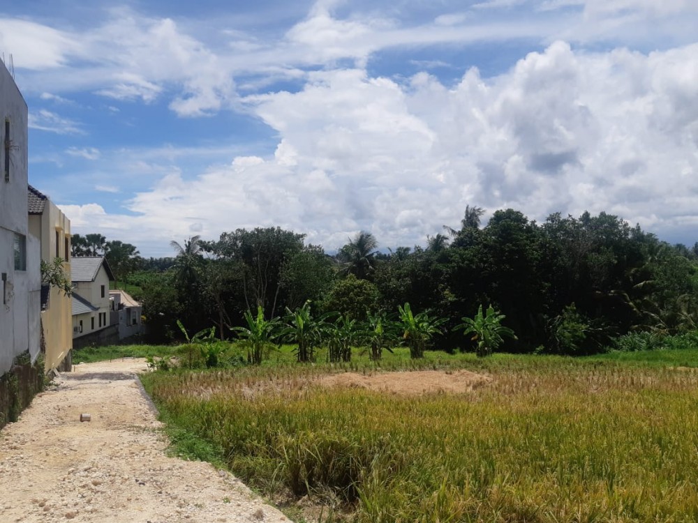 Plot Spesial dengan Pemandangan Sungai dan Green