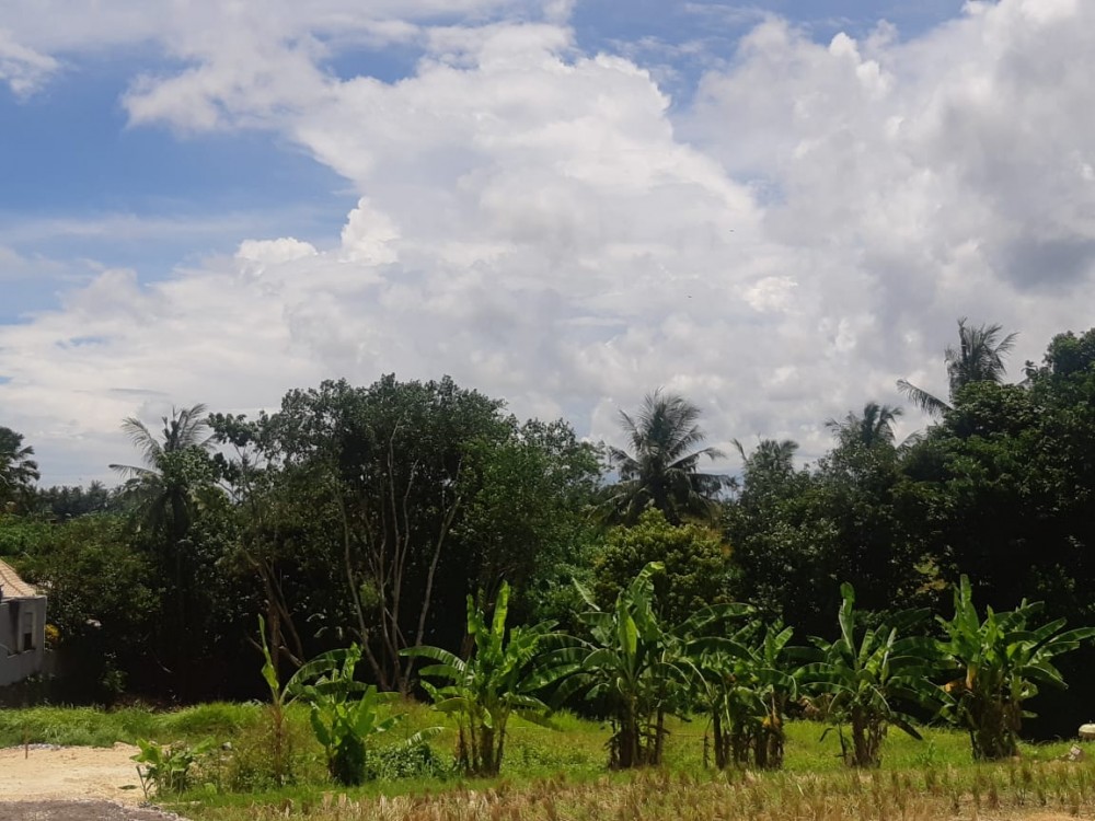 Plot Spesial dengan Pemandangan Sungai dan Green