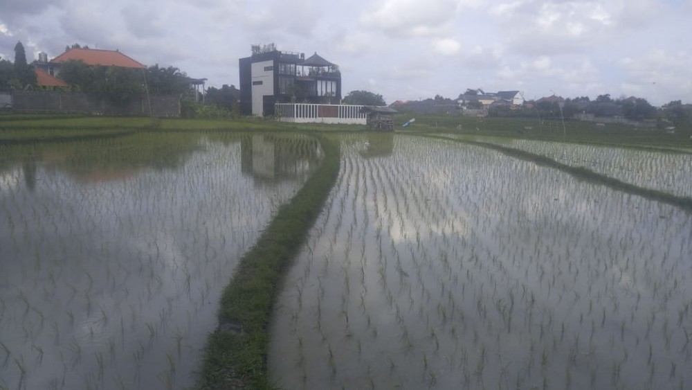 Amzing 20 are Land for Lease in Bumbak