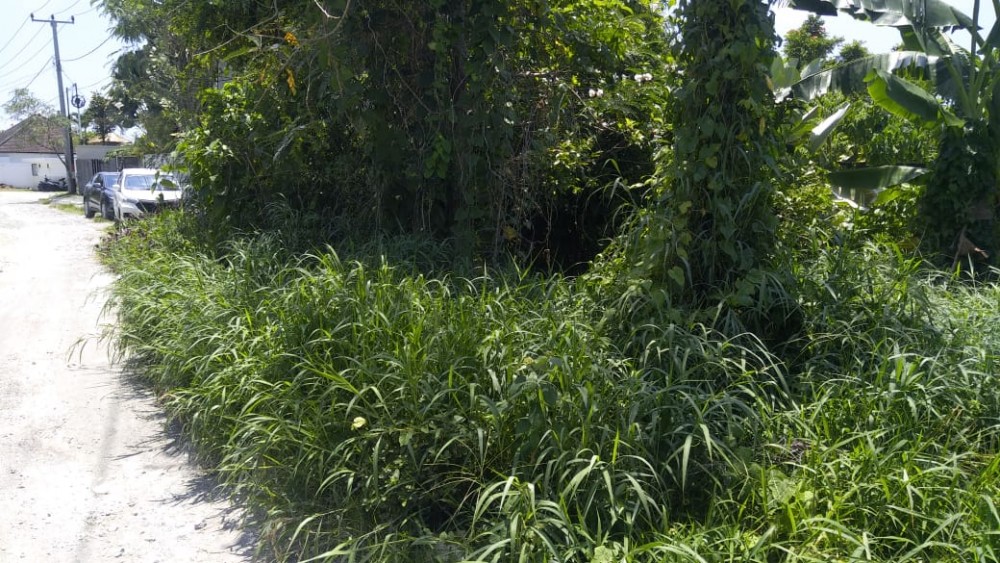 5 Are Tanah Dijual di Padonan