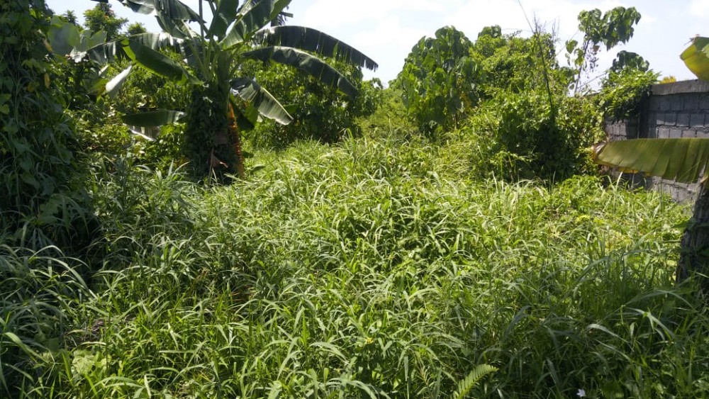 5 Are Tanah Dijual di Padonan