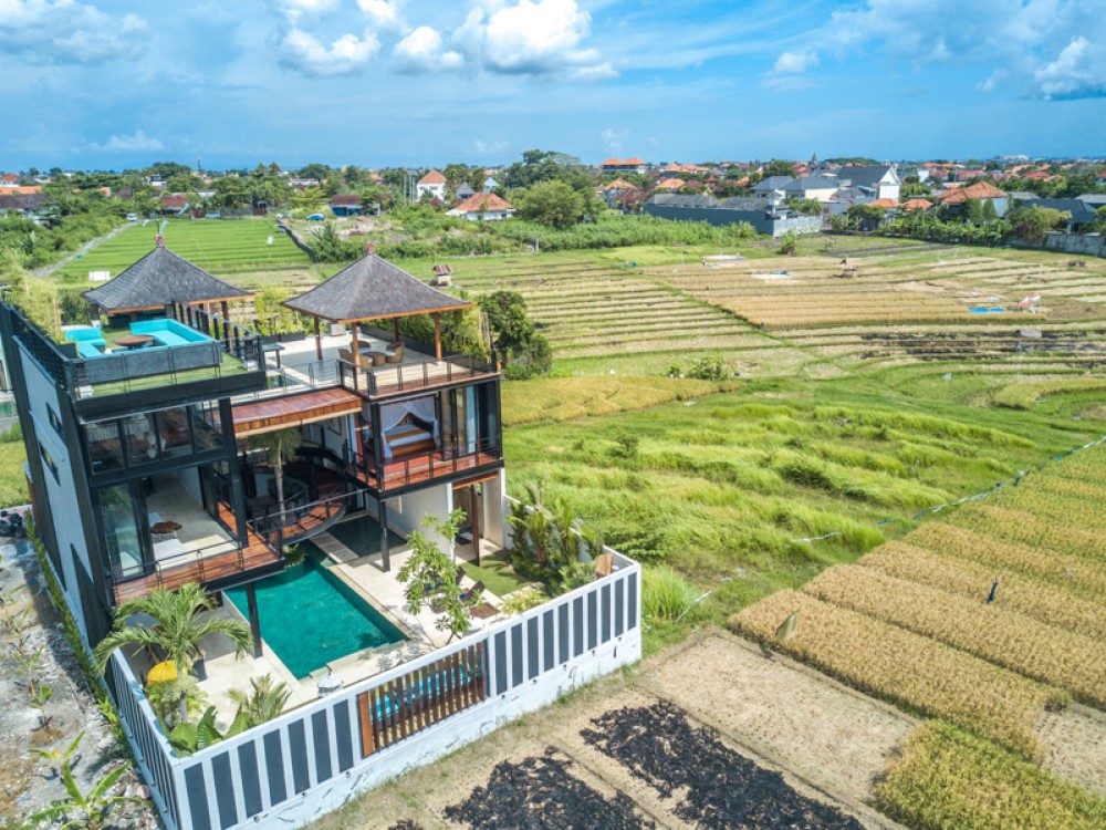 Villa Modern Mewah dengan pemandangan Sawah Dijual di Umalas