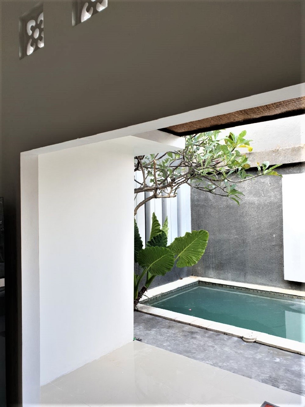 Beautiful Two Bedrooms Villa In Kerobokan (Available on 19th September)