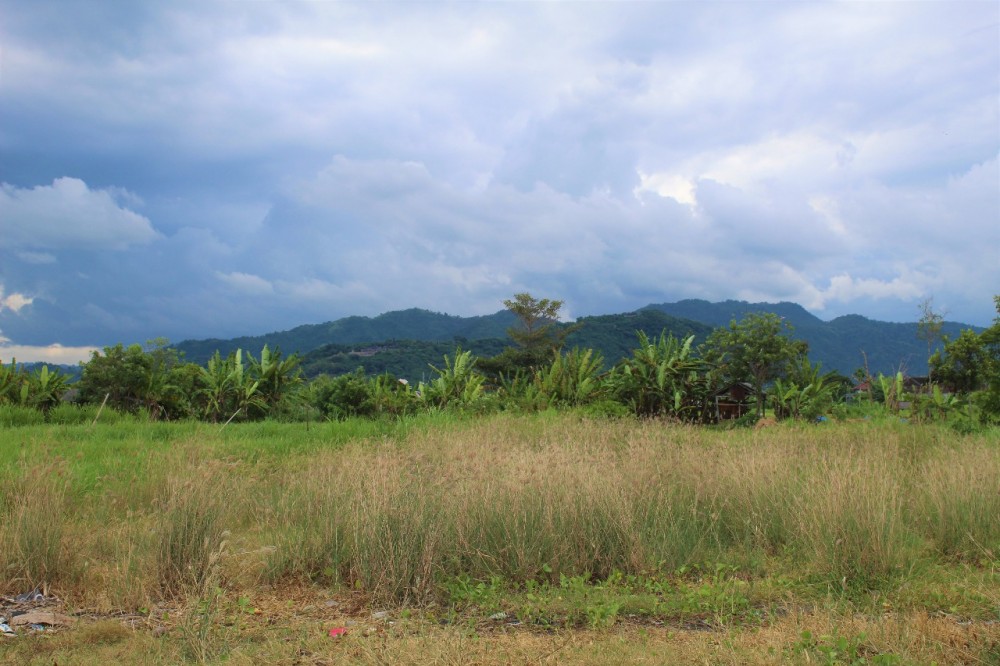 Beachfront Land 16.54 Are East Coast 