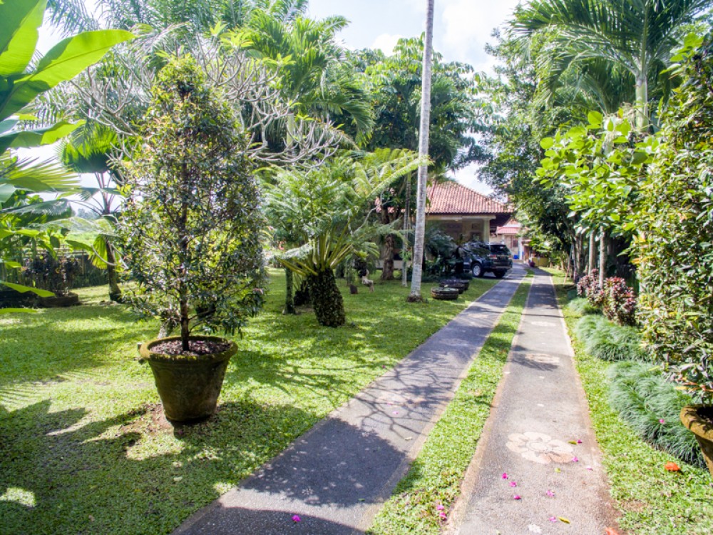 Villa Hak Milik Tradisional dengan Tanah Luas Dijual di Ubud