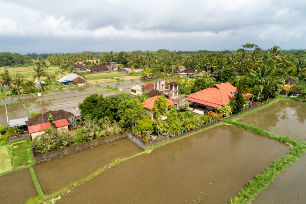 Villa Hak Milik Tradisional dengan Tanah Luas Dijual di Ubud