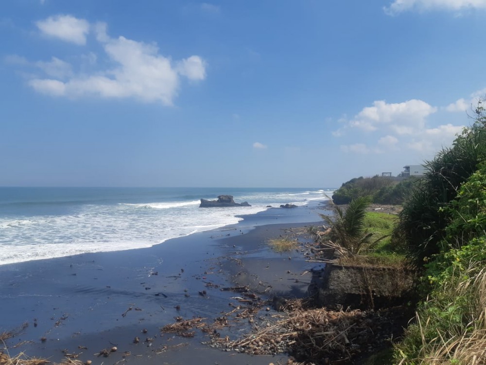 Stunning Beachfront Land in East Selemadeg for Sale 