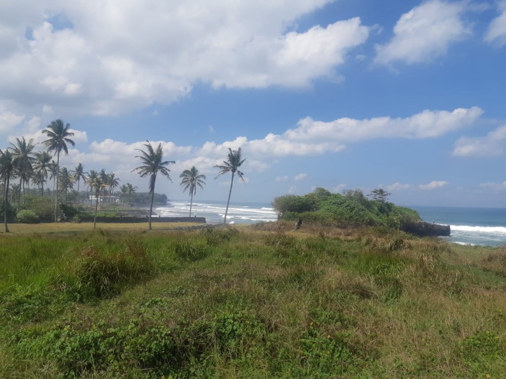 Stunning Beachfront Land in East Selemadeg for Sale 