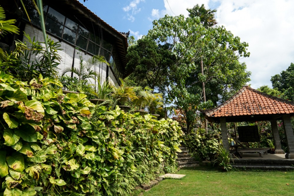 Villa Hak Milik Tradisional dengan Tanah Luas Dijual di Canggu