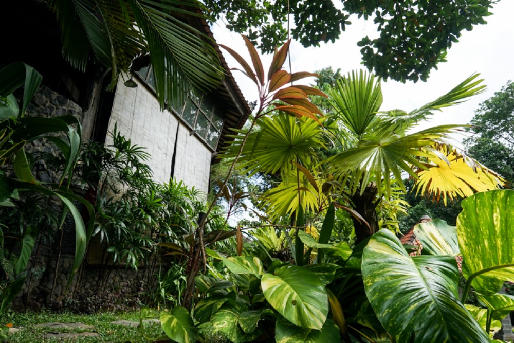 Villa traditionnelle en pleine propriété avec un terrain spacieux à vendre à Canggu