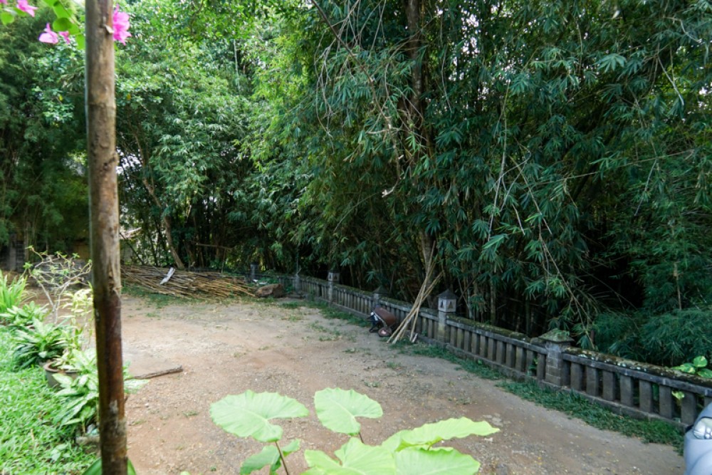 Villa traditionnelle en pleine propriété avec un terrain spacieux à vendre à Canggu