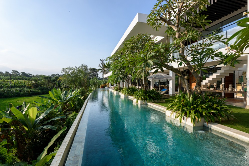 Luxurious Freehold Villa with Rice Paddies View for Sale in Canggu