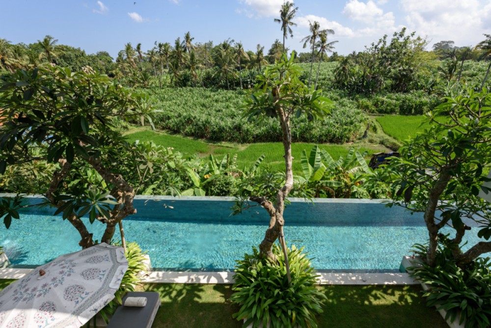 Villa Mewah dengan Pemandangan Sawah untuk Dijual di Canggu