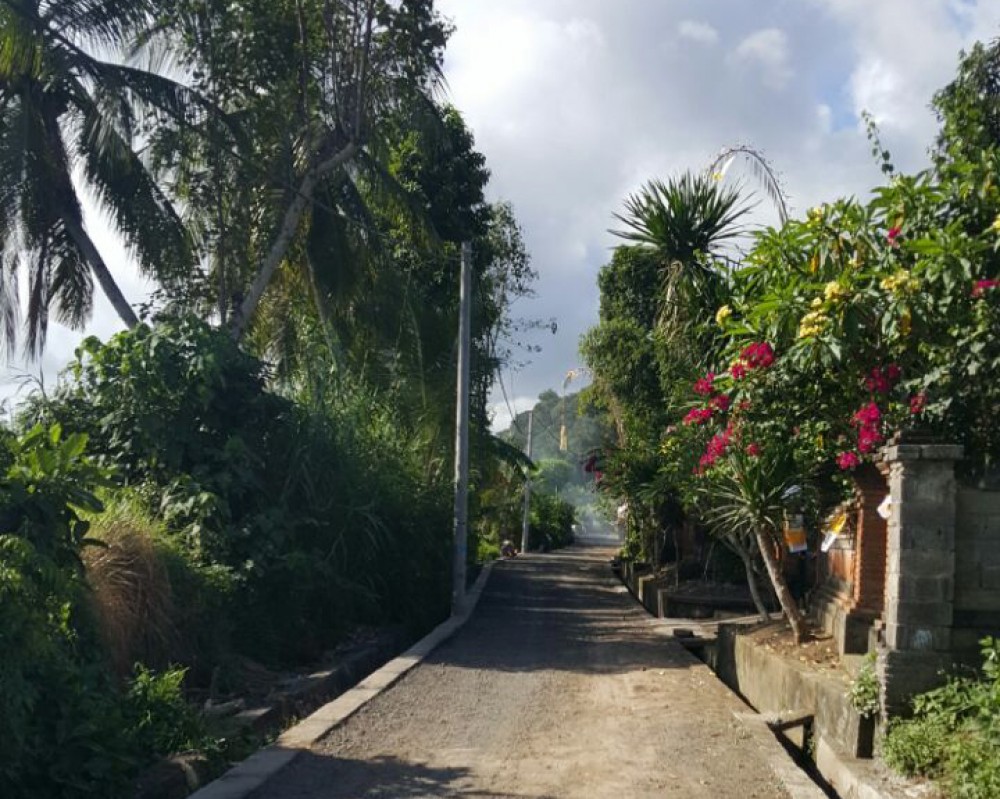 Good Location Freehold Land for Sale in Ubud