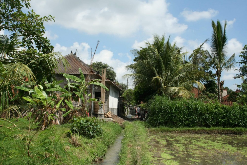 Cantik 16.2 Are Tanah Dijual di Tabanan