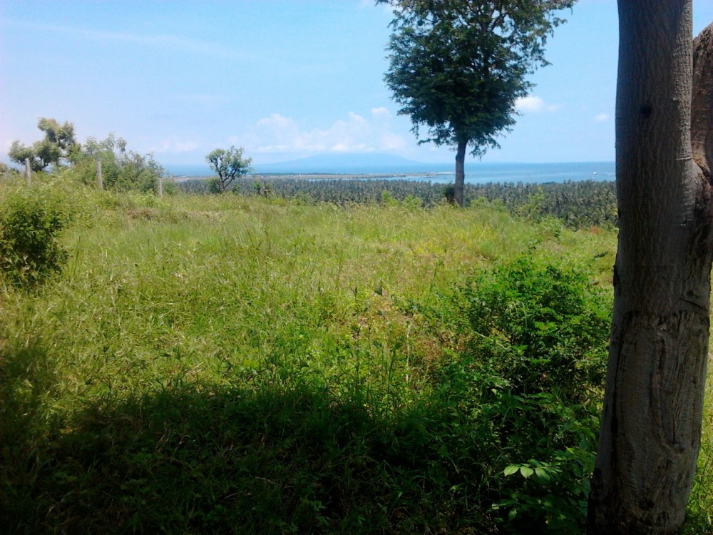 North Breeze Hills in Buleleng for Sale