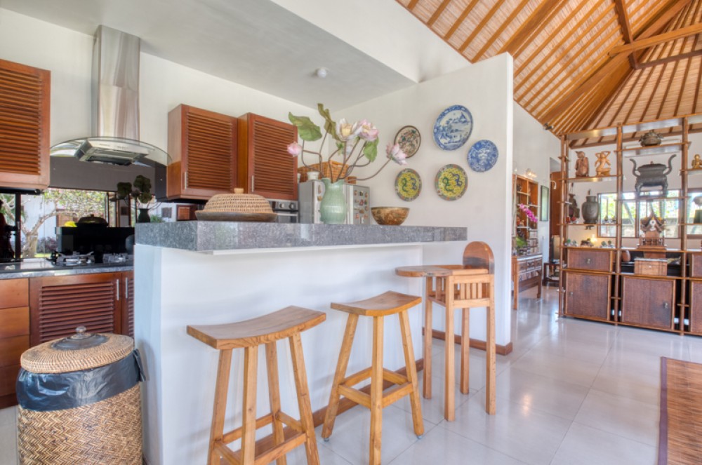 Spacious Tropical Villa for Sale in Sanur