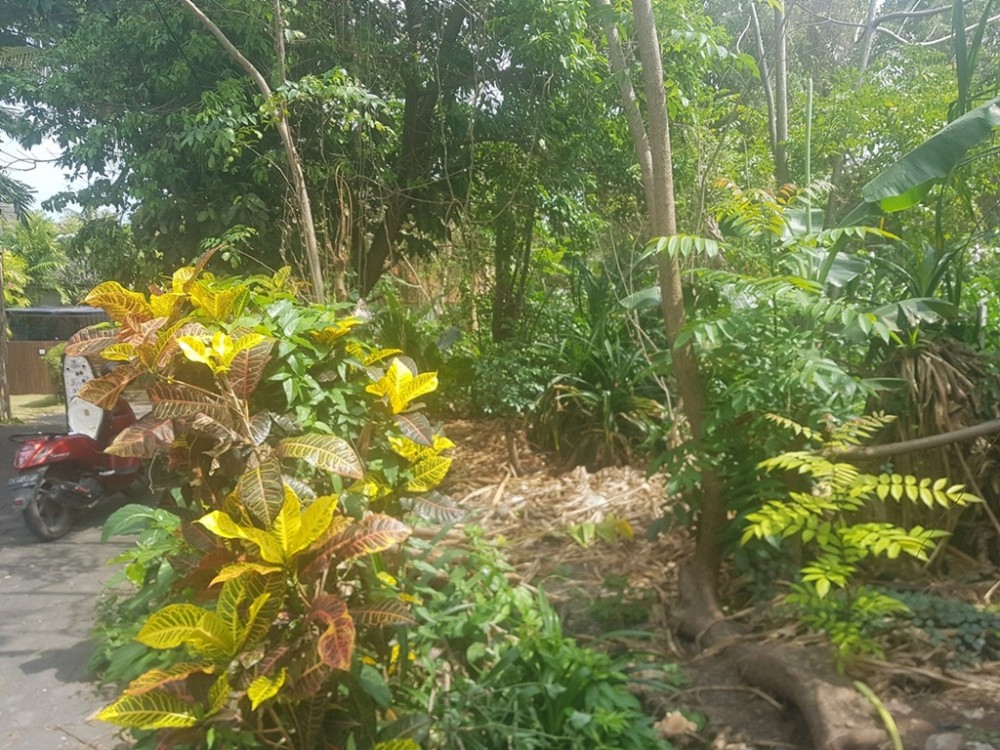 Ideal 6.06 Are Leasehold Plot in Pererenan