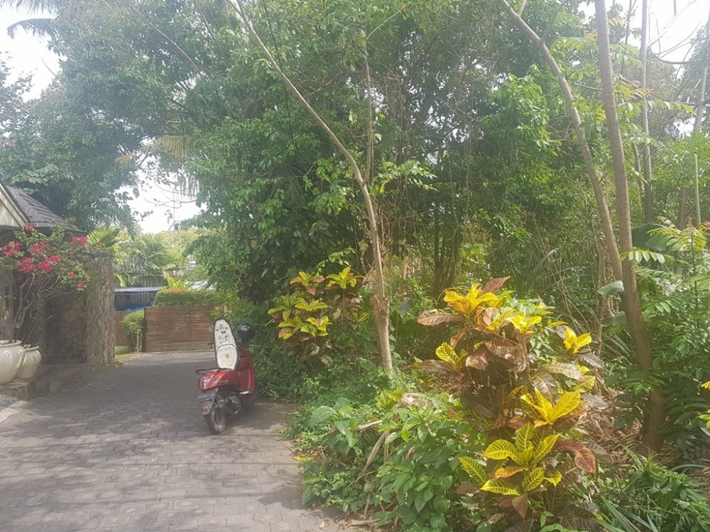 Ideal 6.06 Are Leasehold Plot in Pererenan