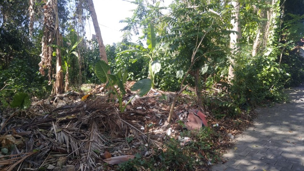 Ideal 6.06 Are Leasehold Plot in Pererenan