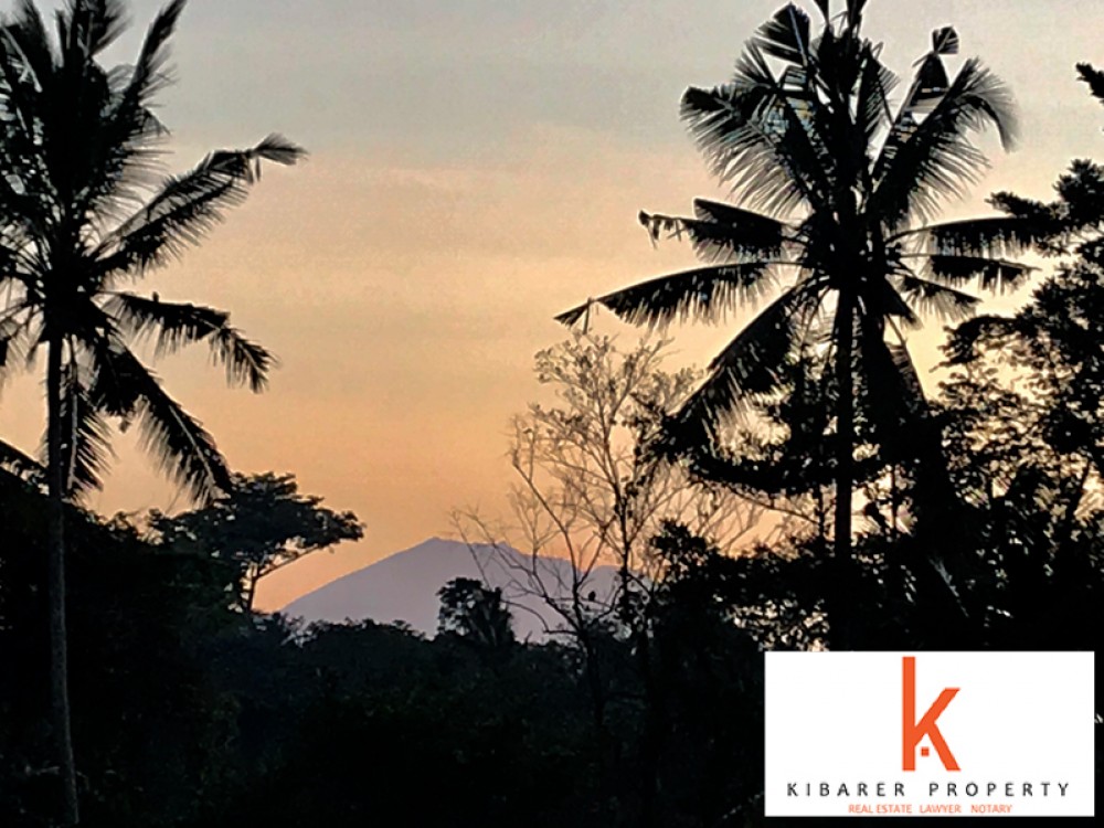 Belle villa entourée de rizières avec un terrain spacieux à vendre à Ubud