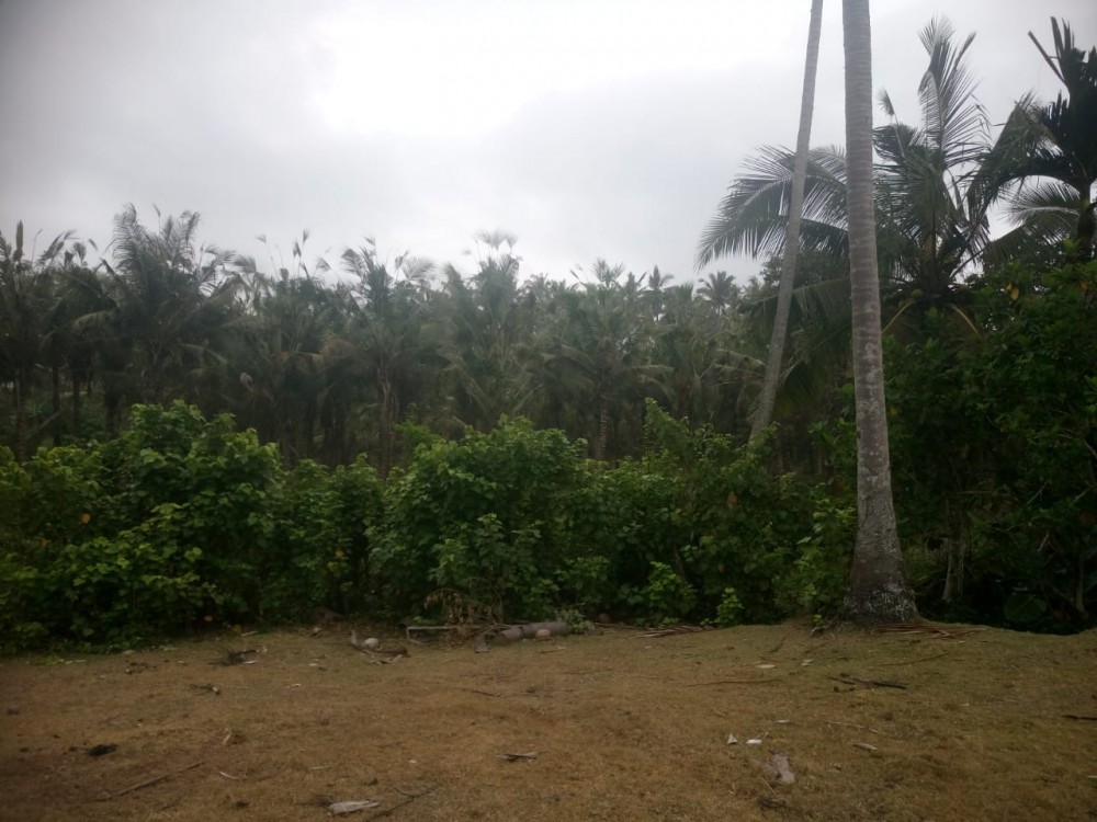 Hot Deals Ocean View of Balian Beach Land for Sale