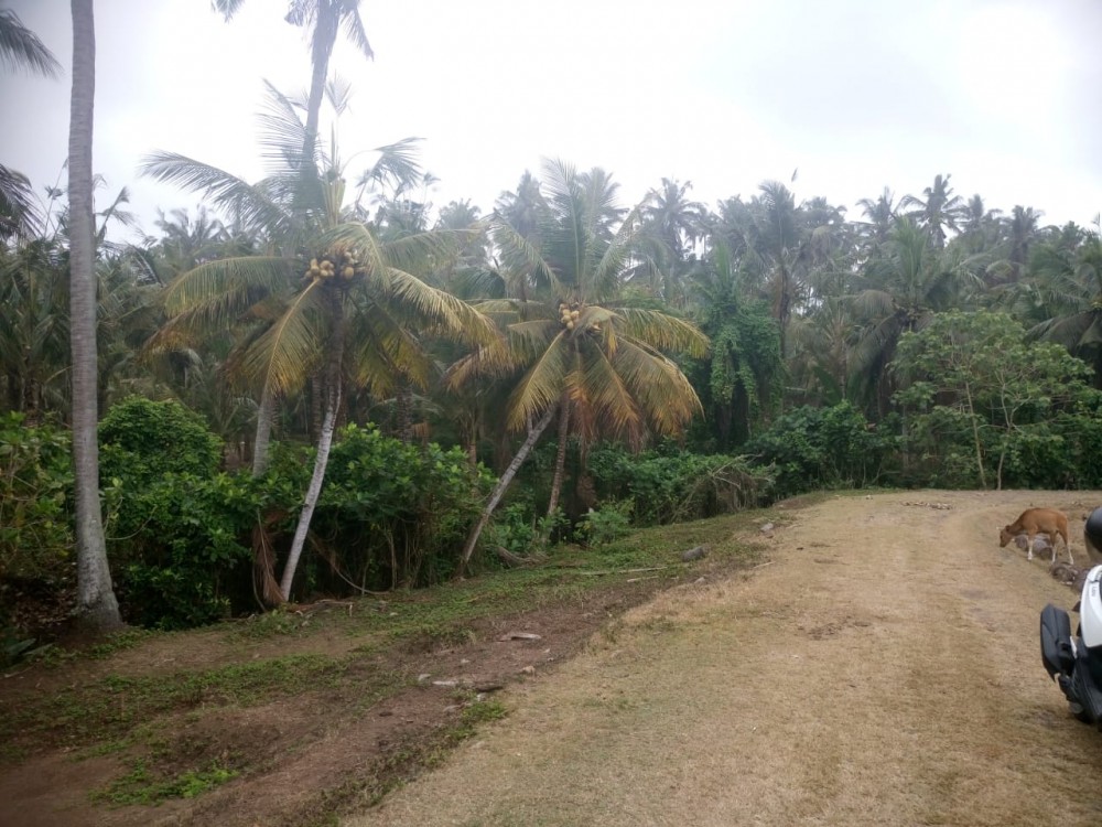 Penawaran Murah Pemandangan Laut Tanah Pantai Balian Dijual