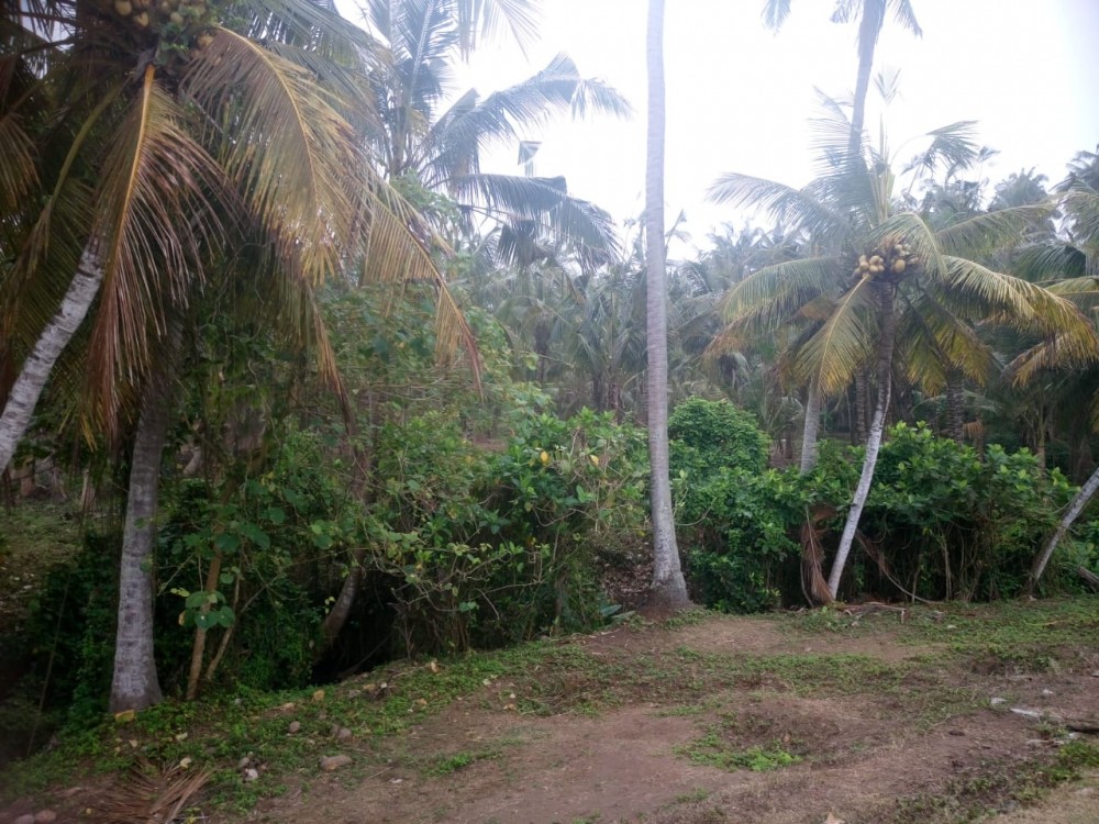 Hot Deals Ocean View of Balian Beach Land for Sale