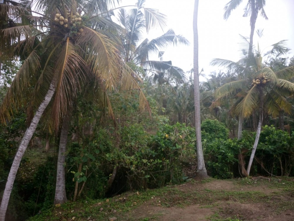 Penawaran Murah Pemandangan Laut Tanah Pantai Balian Dijual