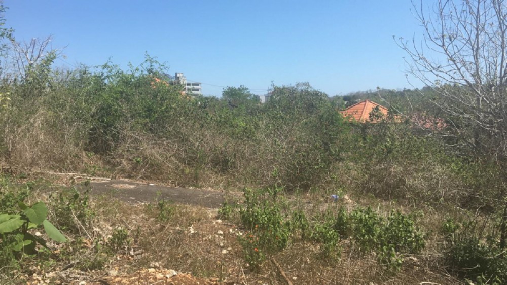 Ocean View Freehold Land for Sale in Ungasan