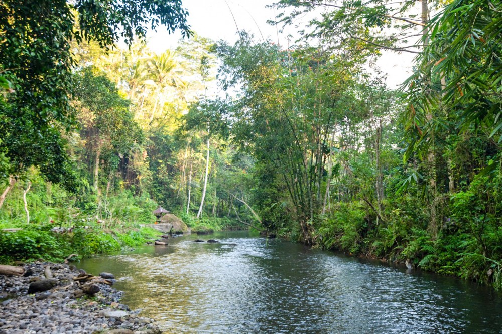 Belle villa entourée de rizières avec un terrain spacieux à vendre à Ubud