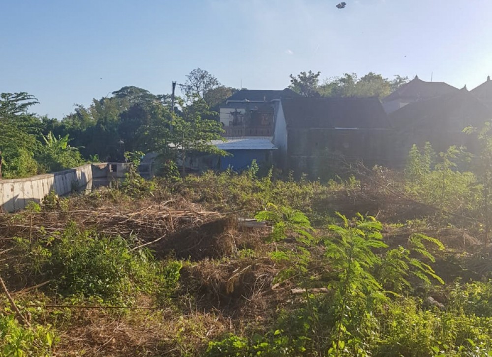 Ideal Shape Land for a Villa in Canggu for Sale