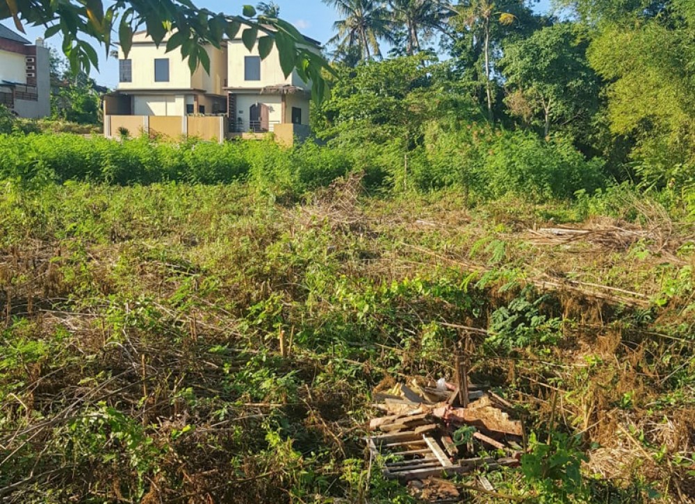 Ideal Shape Land for a Villa in Canggu for Sale
