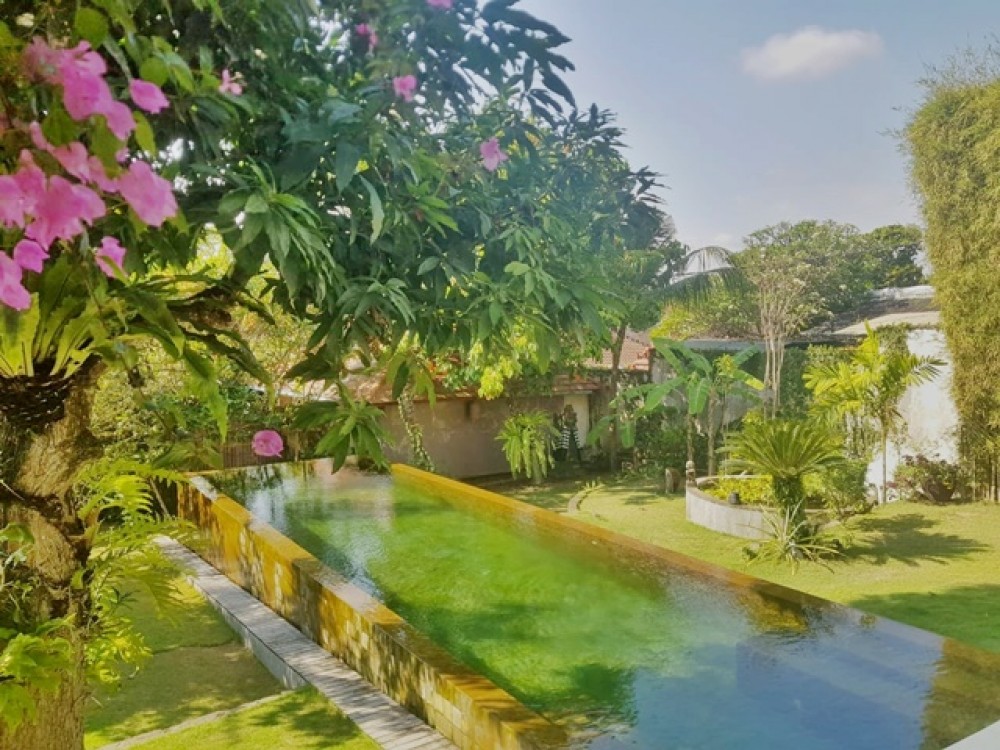 Villa 3 Kamar Cantik Dijual di Umalas