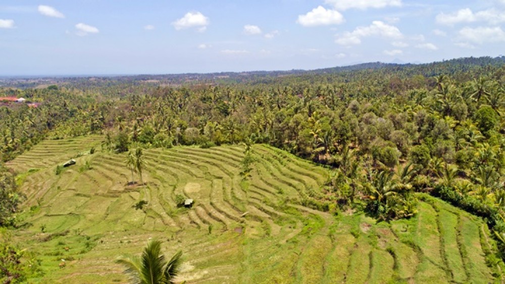 Vues panoramiques Terrain à bail à Negara