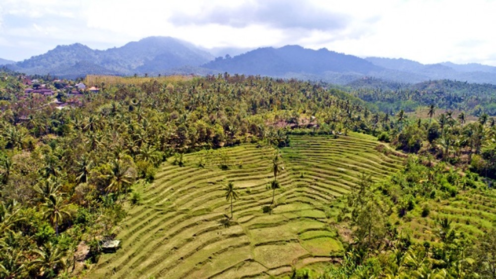 Vues panoramiques Terrain à bail à Negara