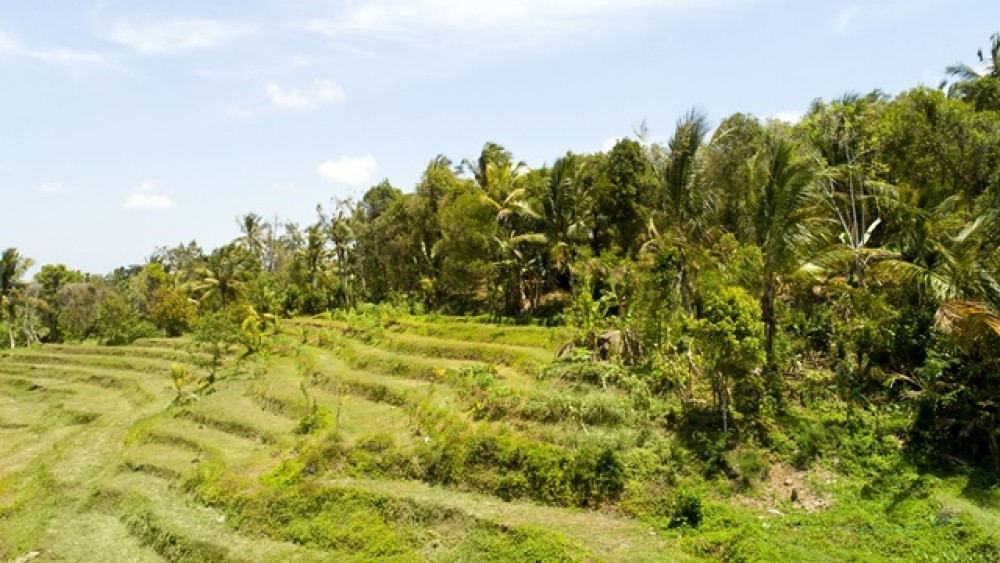 Vues panoramiques Terrain à bail à Negara