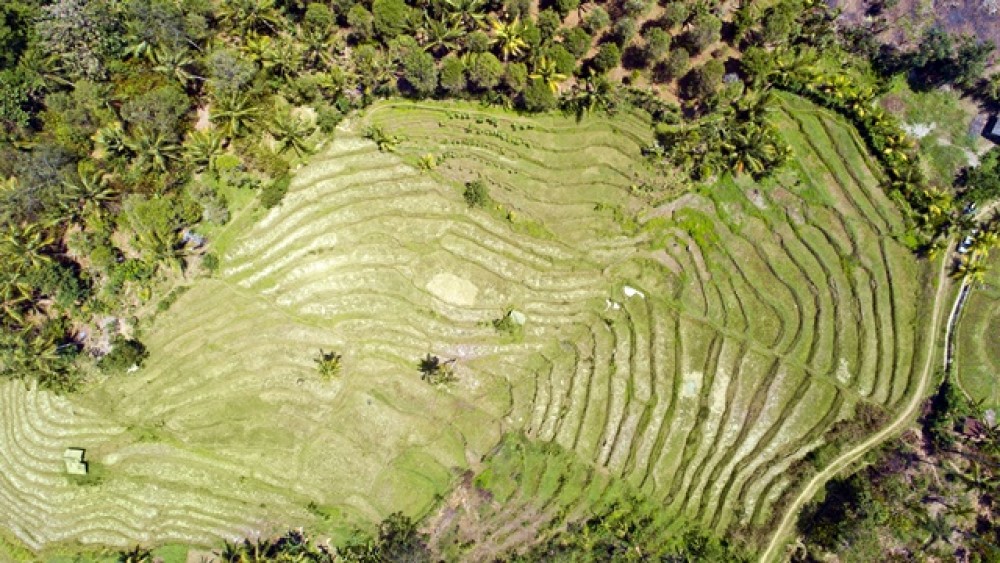 Vues panoramiques Terrain à bail à Negara