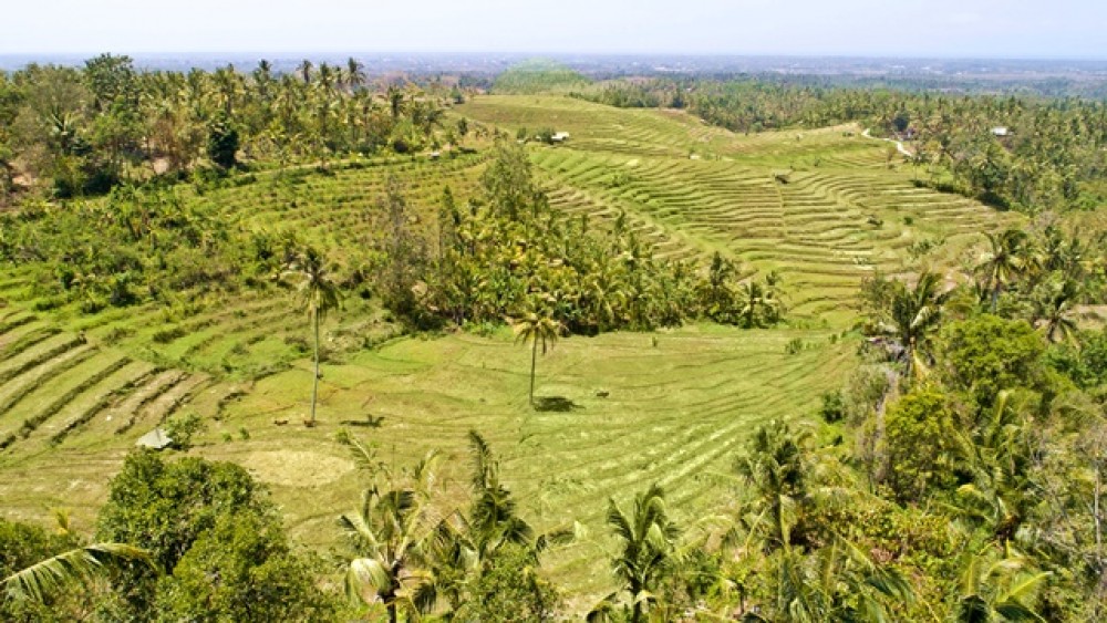 Vues panoramiques Terrain à bail à Negara