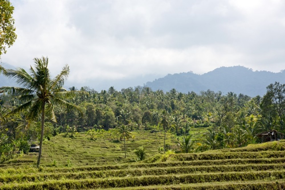 Vues panoramiques Terrain à bail à Negara