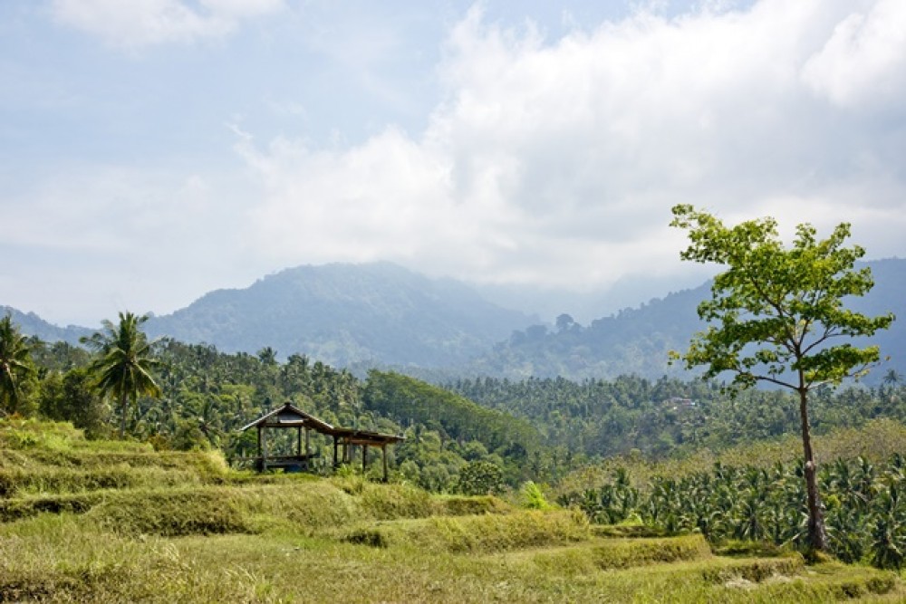 Vues panoramiques Terrain à bail à Negara