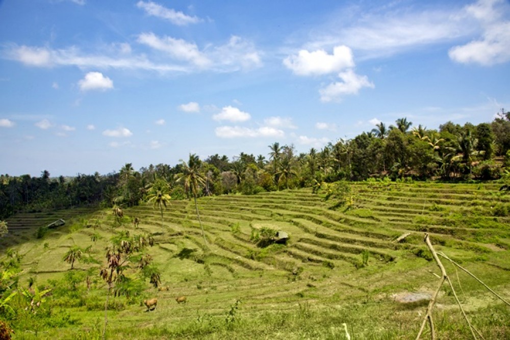 Vues panoramiques Terrain à bail à Negara