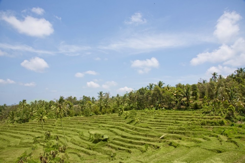 Vues panoramiques Terrain à bail à Negara