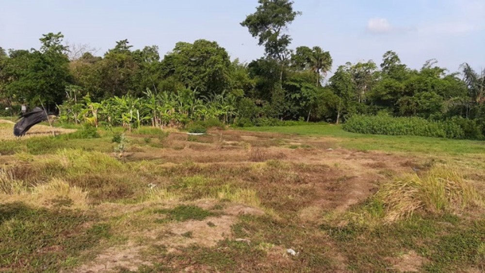 Quiet and Good Shape of Leasehold Land with Good Price for Sale