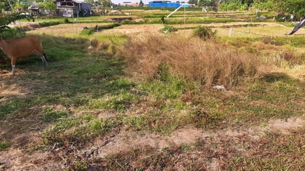 Quiet and Good Shape of Leasehold Land with Good Price for Sale