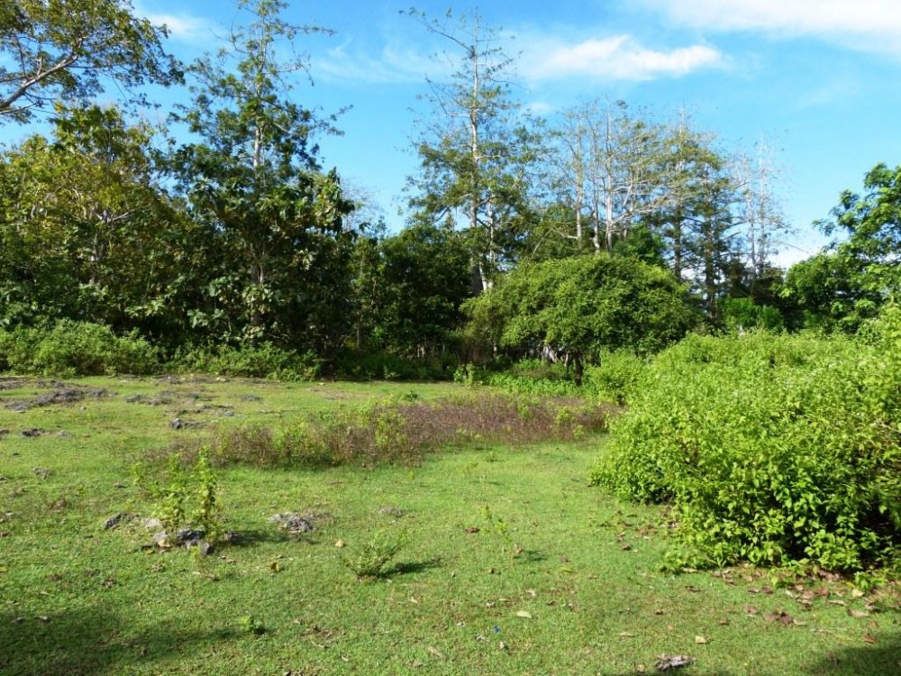 Freehold residential land for sale in Balangan