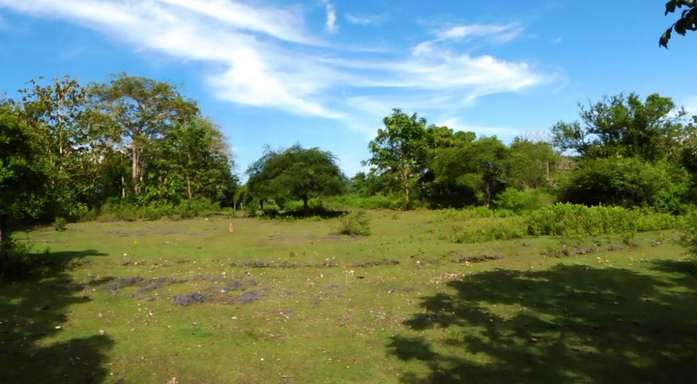 Freehold residential land for sale in Balangan